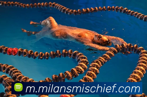 米兰milan官网发展历程